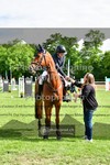 ref. photo 3617710