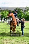 ref. photo 3617711