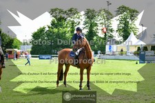 ref. photo 3617720