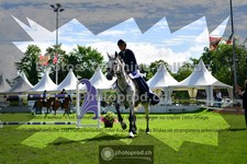 ref. photo 3617727