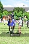 ref. photo 3617738