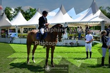 ref. photo 3617763