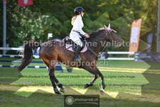 ref. photo 3633001