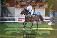 ref. photo 3633003