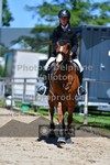 ref. photo 3633117