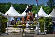ref. photo 3633122