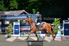 ref. photo 3633128