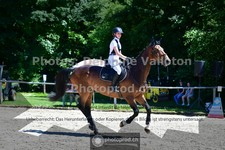 ref. photo 3633173