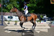 ref. photo 3633186