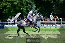 ref. photo 3633212
