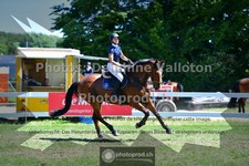 ref. photo 3633245
