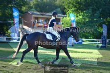 ref. photo 3633250