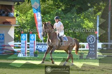 ref. photo 3633315