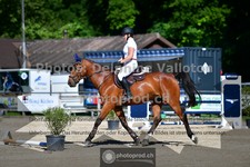 ref. photo 3633342