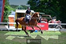 ref. photo 3633389