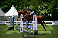 ref. photo 3633392
