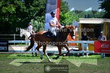 ref. photo 3633512