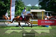 ref. photo 3633625