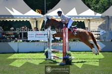 ref. photo 3633626
