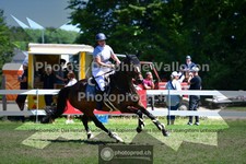 ref. photo 3633645