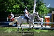 ref. photo 3633752