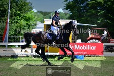 ref. photo 3633865