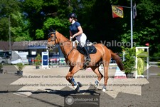 ref. photo 3633938