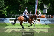 ref. photo 3633948