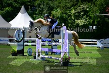 ref. photo 3634011