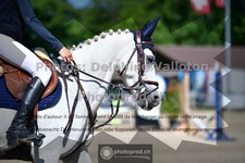 ref. photo 3634091