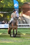 ref. photo 3634129