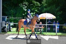 ref. photo 3634155