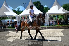 ref. photo 3634240
