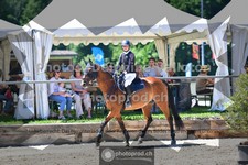 ref. photo 3634321