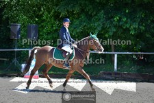 ref. photo 3634351