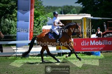 ref. photo 3634393