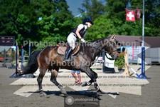 ref. photo 3634510