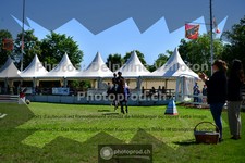 ref. photo 3634666