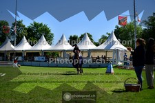 ref. photo 3634667