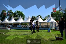 ref. photo 3634668