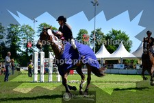 ref. photo 3634671