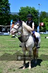 ref. photo 3634713