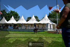 ref. photo 3634722