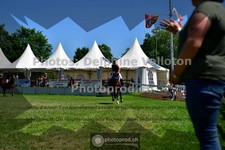 ref. photo 3634723