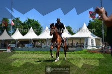 ref. photo 3634737