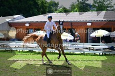 ref. photo 3638646