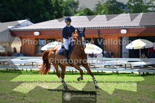 ref. photo 3638806