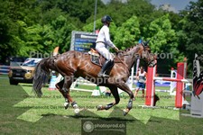 ref. photo 3638944