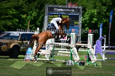 ref. photo 3639097
