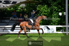 ref. photo 3639131